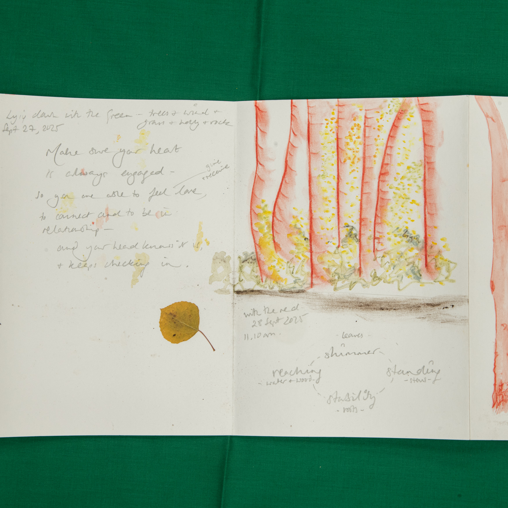 A notebook showing writing with pencil, and a drawing in of tree trunks in red