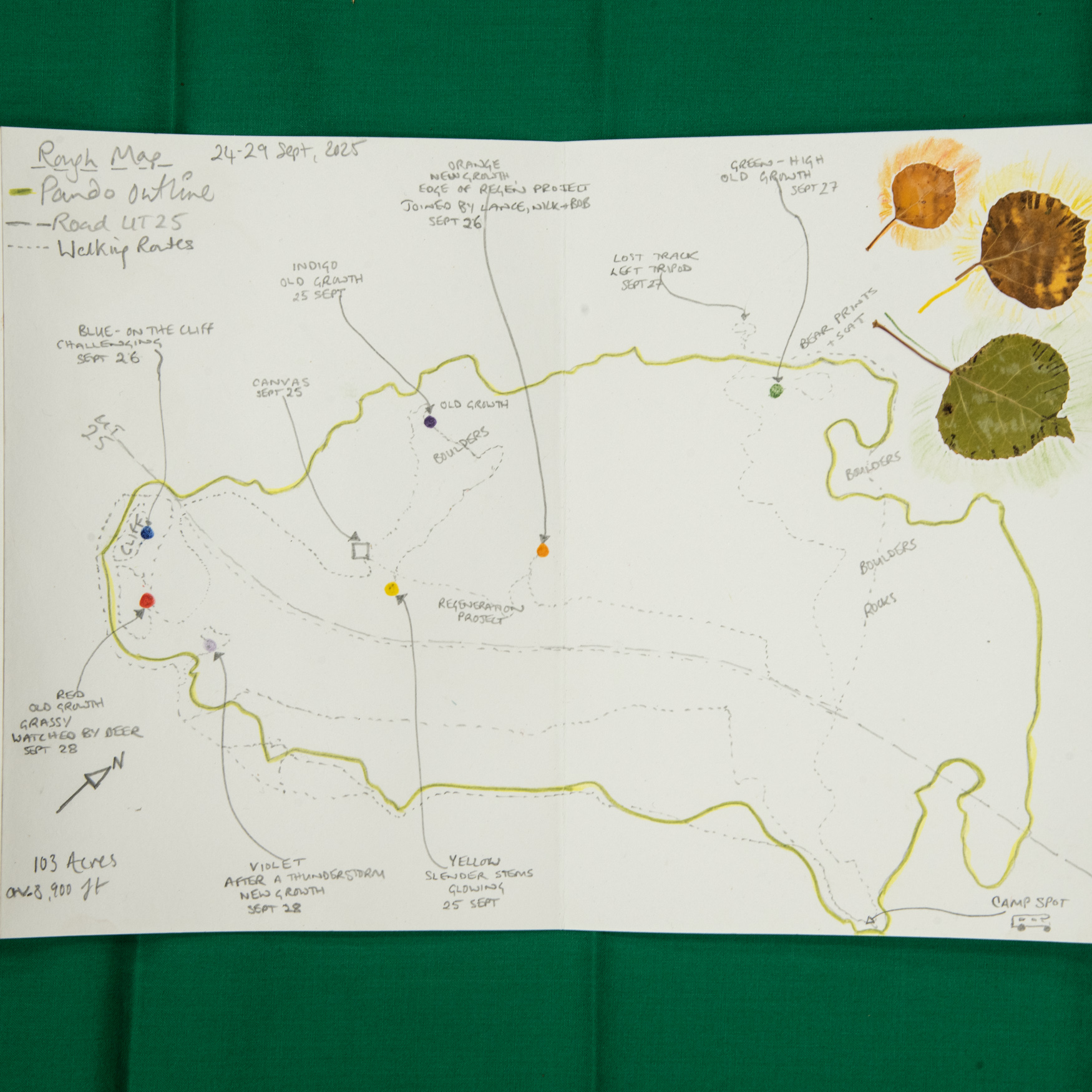 A simple hand drawn map with a green outline and some leaves