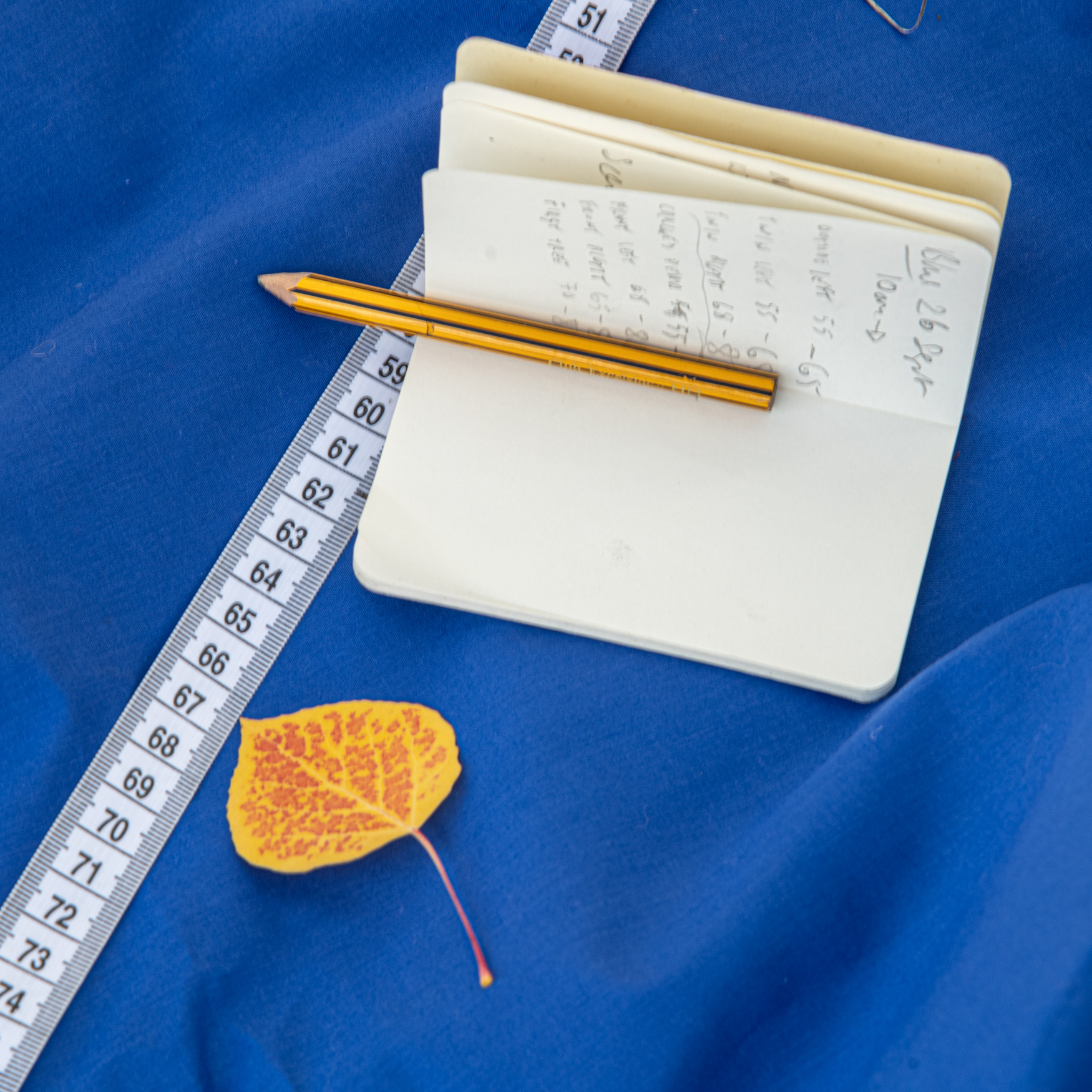 A notebook, a leaf and a measuring tape laid on blue cloth