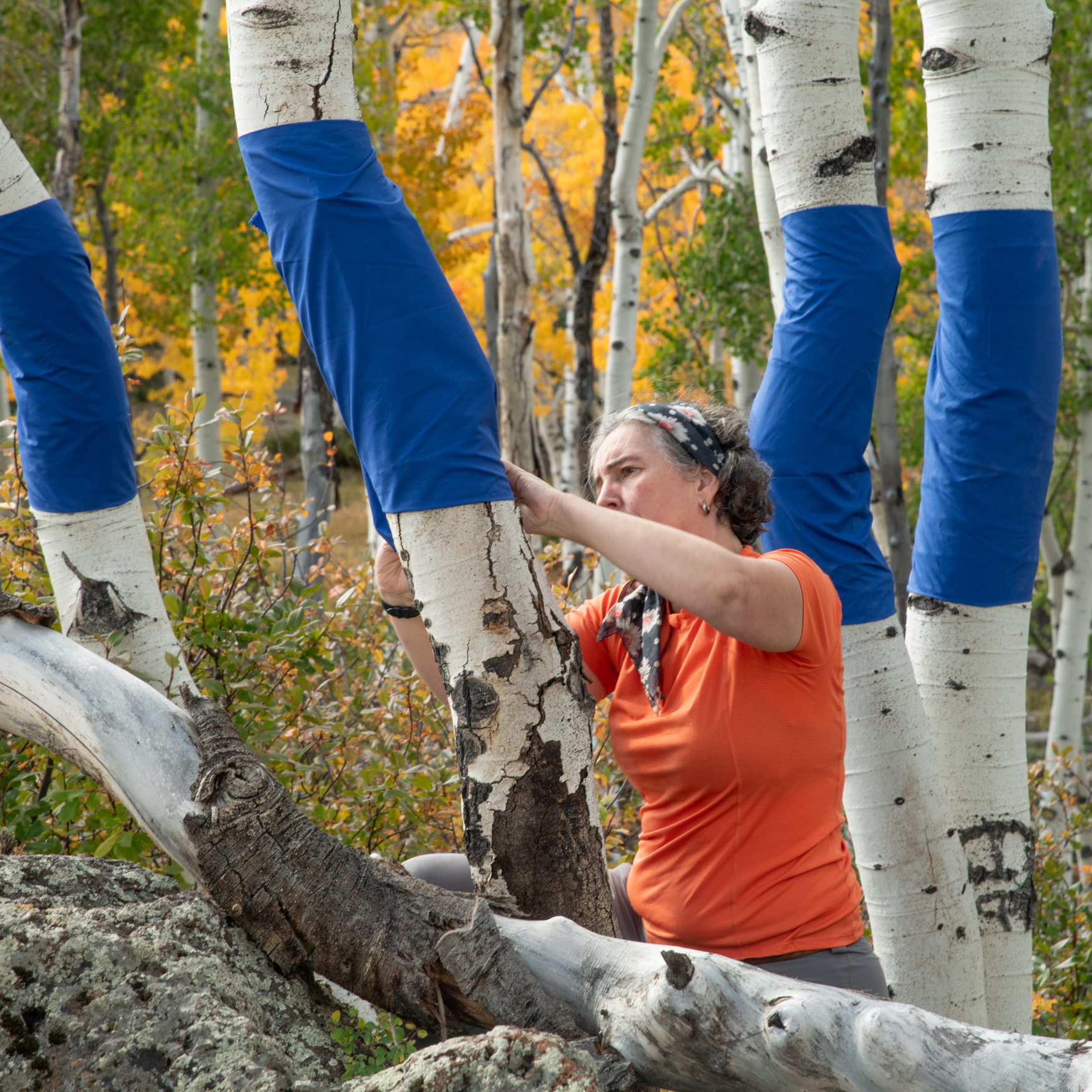 A white woman standing among trees and fixing blue wraps to the trees