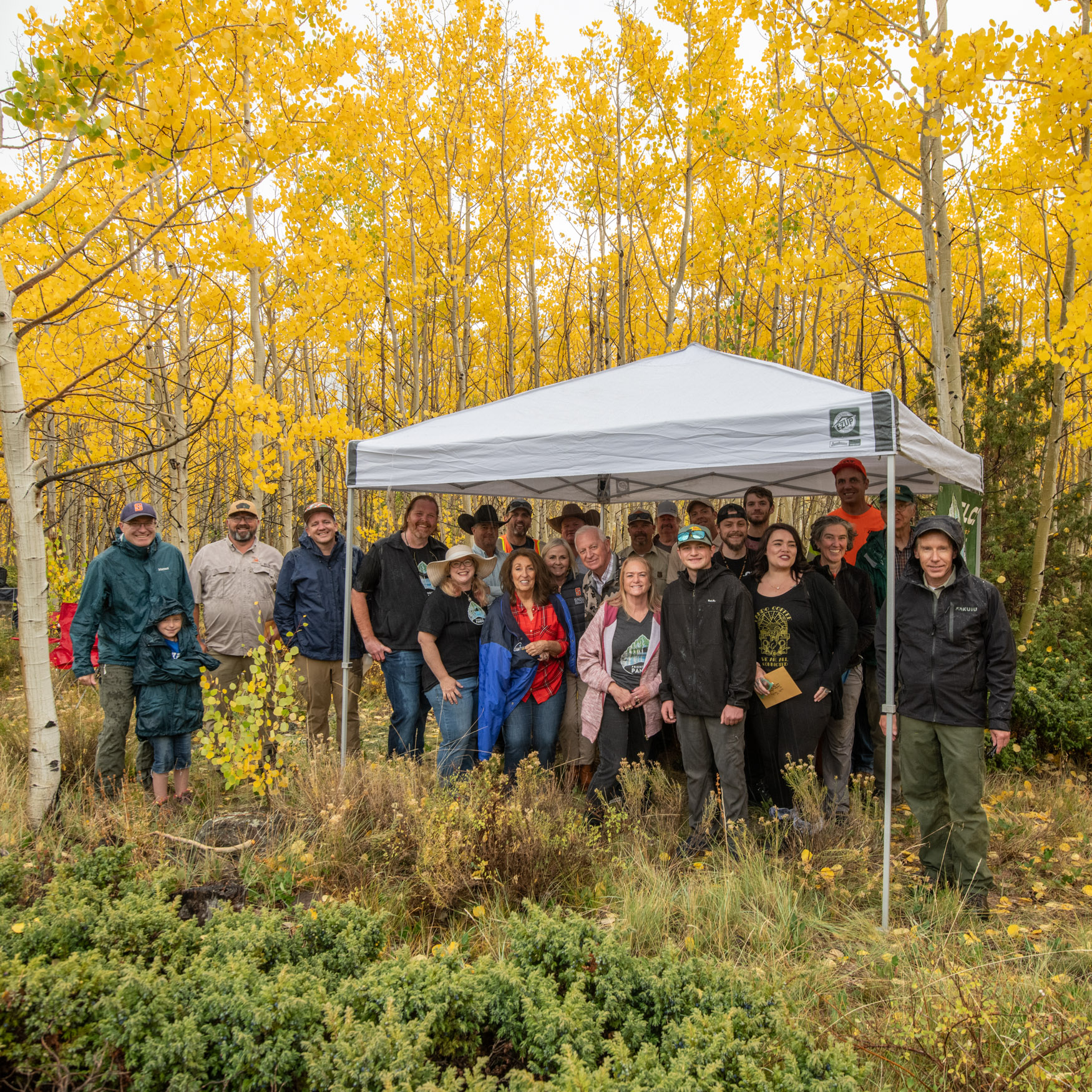 People stand beneath a gazebo tent, in an aspen forest