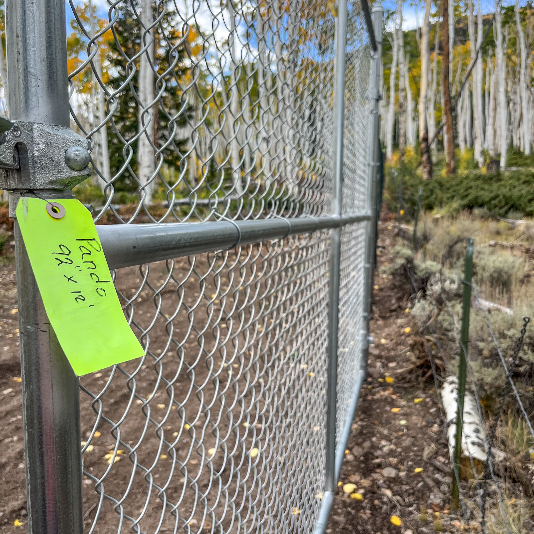 A tall wire fence and a label saying Pando