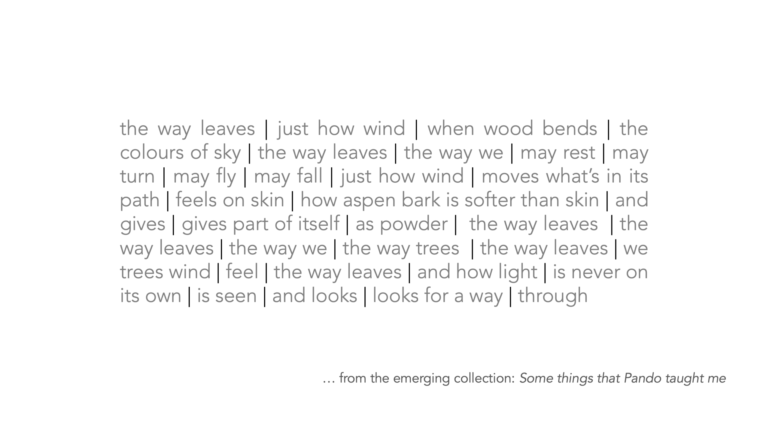 a poetic text as image. the words are: the way leaves | just how wind | when wood bends | the colours of sky | the way leaves | the way we | may rest | may turn | may fly | may fall | just how wind | moves what’s in its path | feels on skin | how aspen bark is softer than skin | and gives | gives part of itself | as powder | the way leaves | the way leaves | the way we | the way trees | the way leaves | we trees wind | feel | the way leaves | and how light | is never on its own | is seen | and looks | looks for a way | through